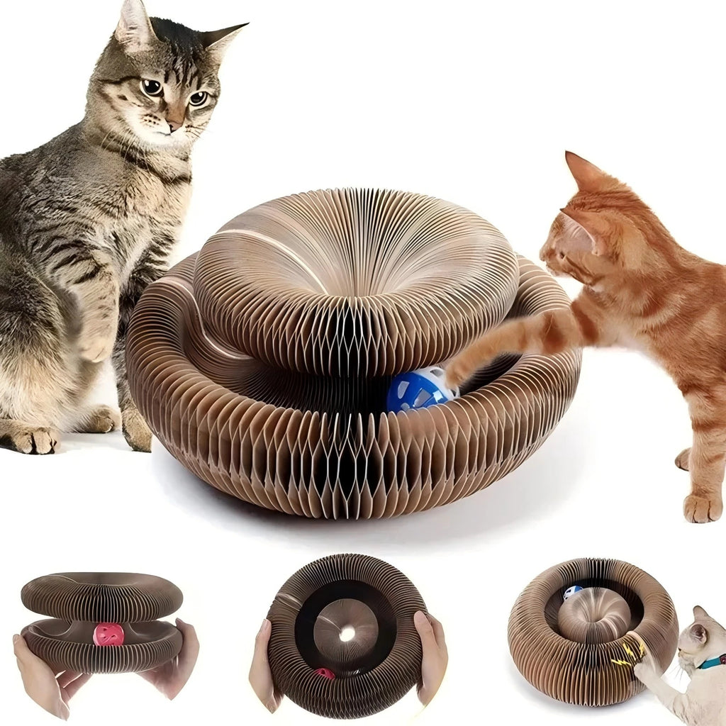 Round Corrugated Scratch & Play Cat Toy | Indoor Kitty Co