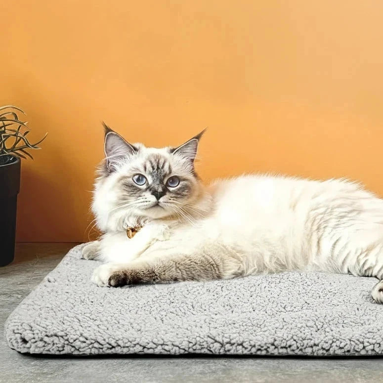 Self-Warming Thermal Pet Blanket | Indoor Kitty Co
