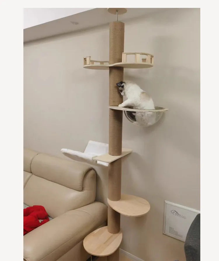 Adjustable Floor to Ceiling Cat Tree with Condo & Perches | Indoor Kitty Co