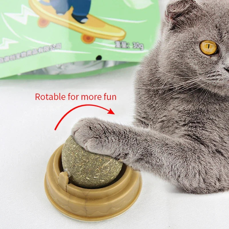 Catnip Wall Stick-On Ball | Indoor Kitty Co