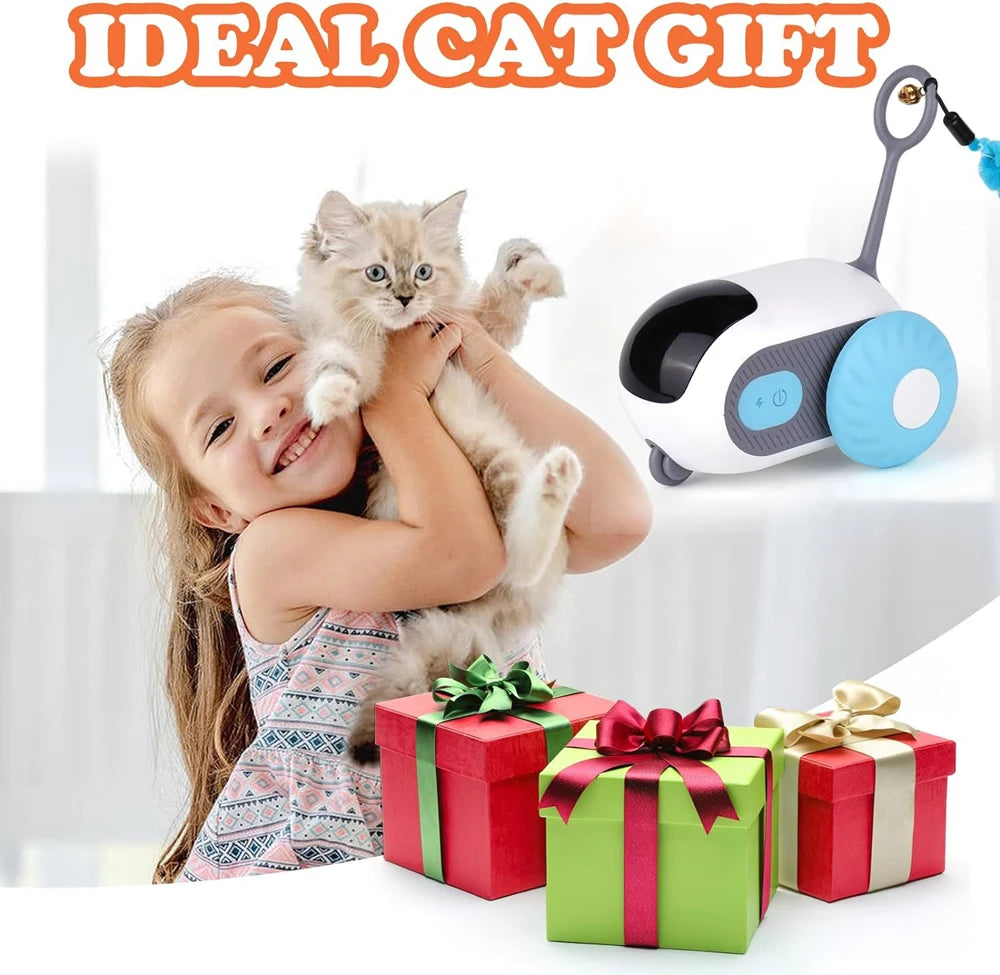 Remote Control Cat Toy Car | Indoor Kitty Co