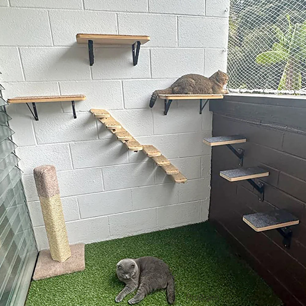 Wall Mounted Cat Tree with Hammock & Climbing Shelves | Indoor Kitty Co
