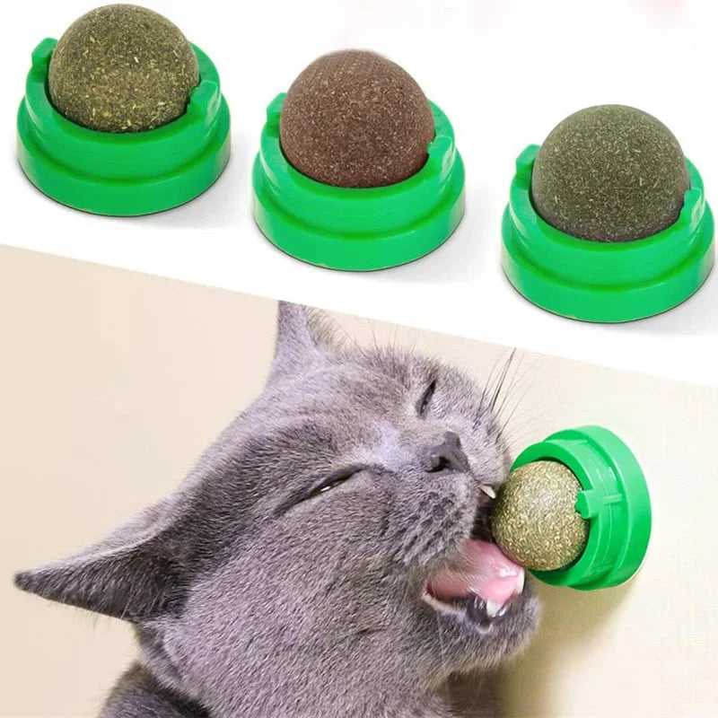 Catnip Wall Stick-On Ball | Indoor Kitty Co