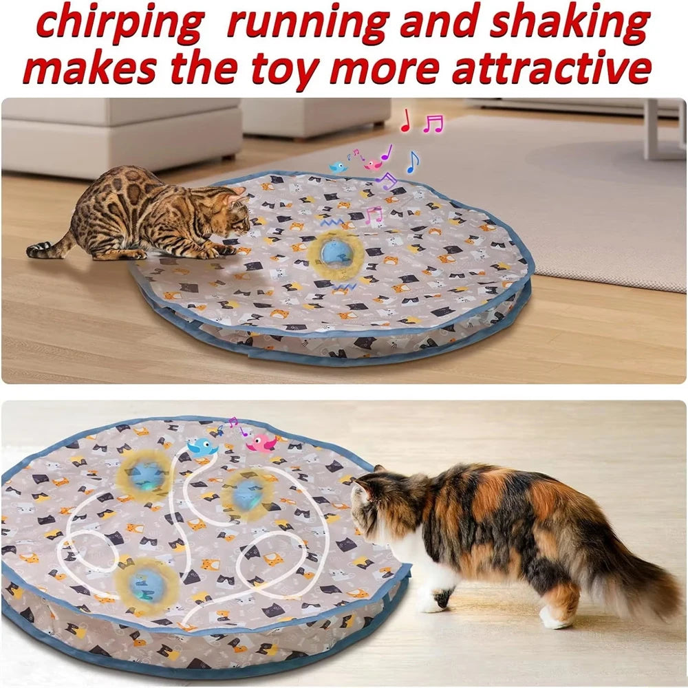 Motion Activated Cat Ball Toy | Indoor Kitty Co
