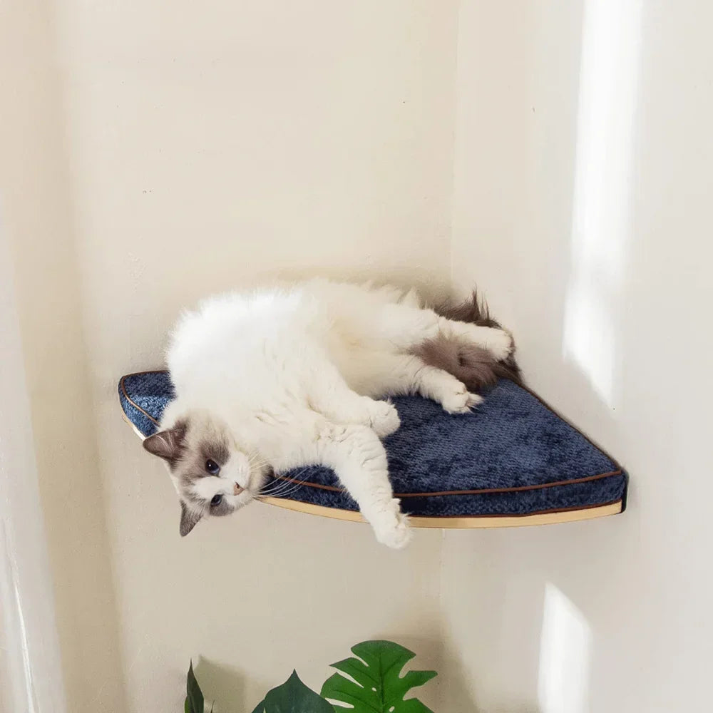 Wall Mounted Cat Tree with Hammock & Climbing Shelves | Indoor Kitty Co