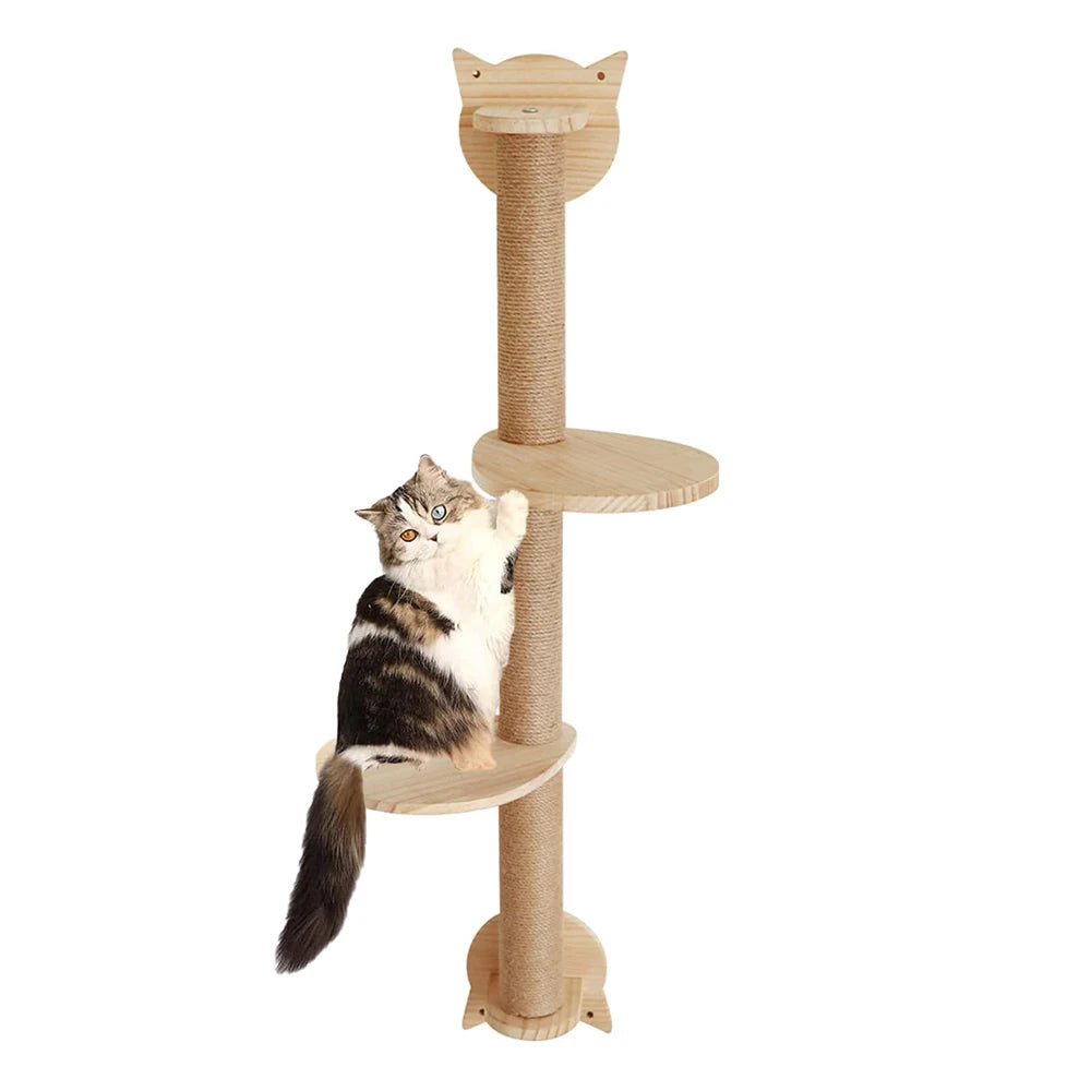 Cat Scratching Post with 2 Perches | Indoor Kitty Co