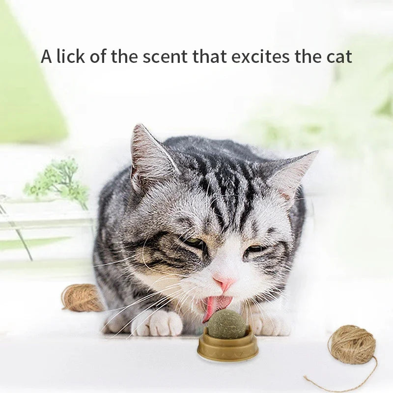 Catnip Wall Stick-On Ball | Indoor Kitty Co