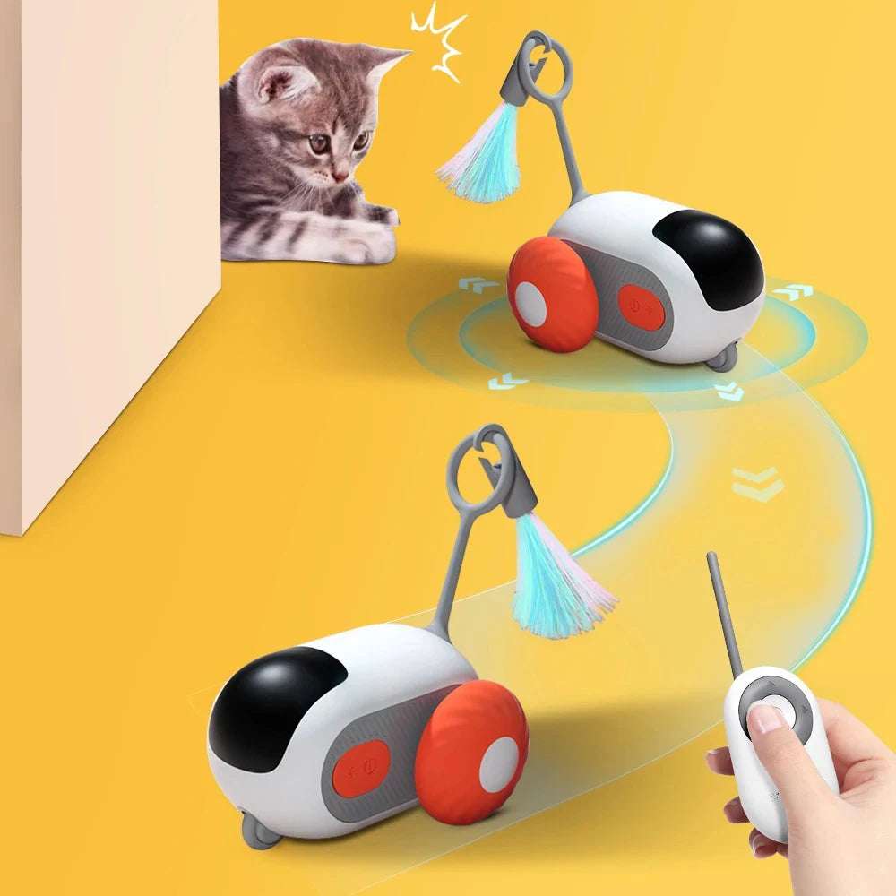 Remote Control Cat Toy Car | Indoor Kitty Co