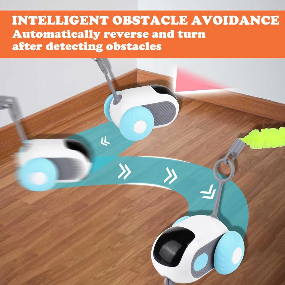 Remote Control Cat Toy Car | Indoor Kitty Co