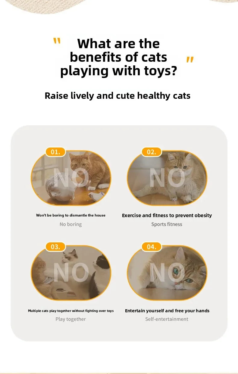 Automatic Electric Cat Turntable Toy | Indoor Kitty Co