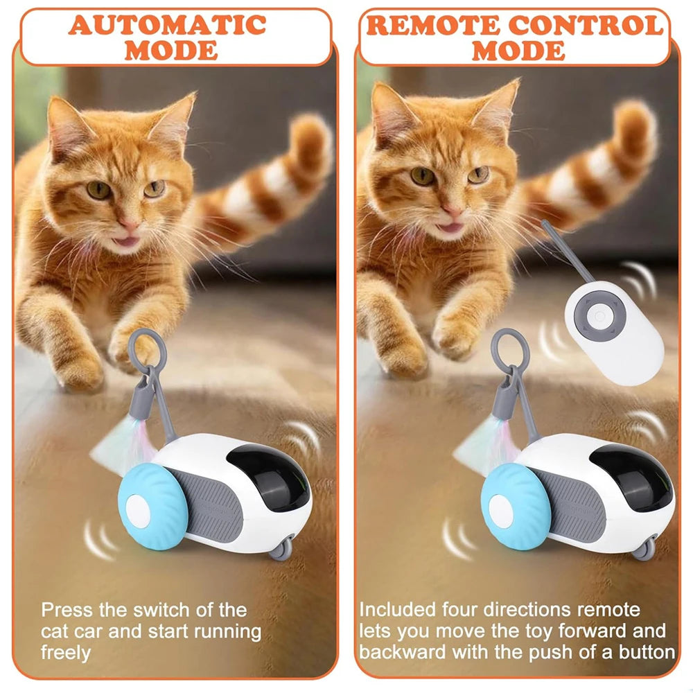 Remote Control Cat Toy Car | Indoor Kitty Co