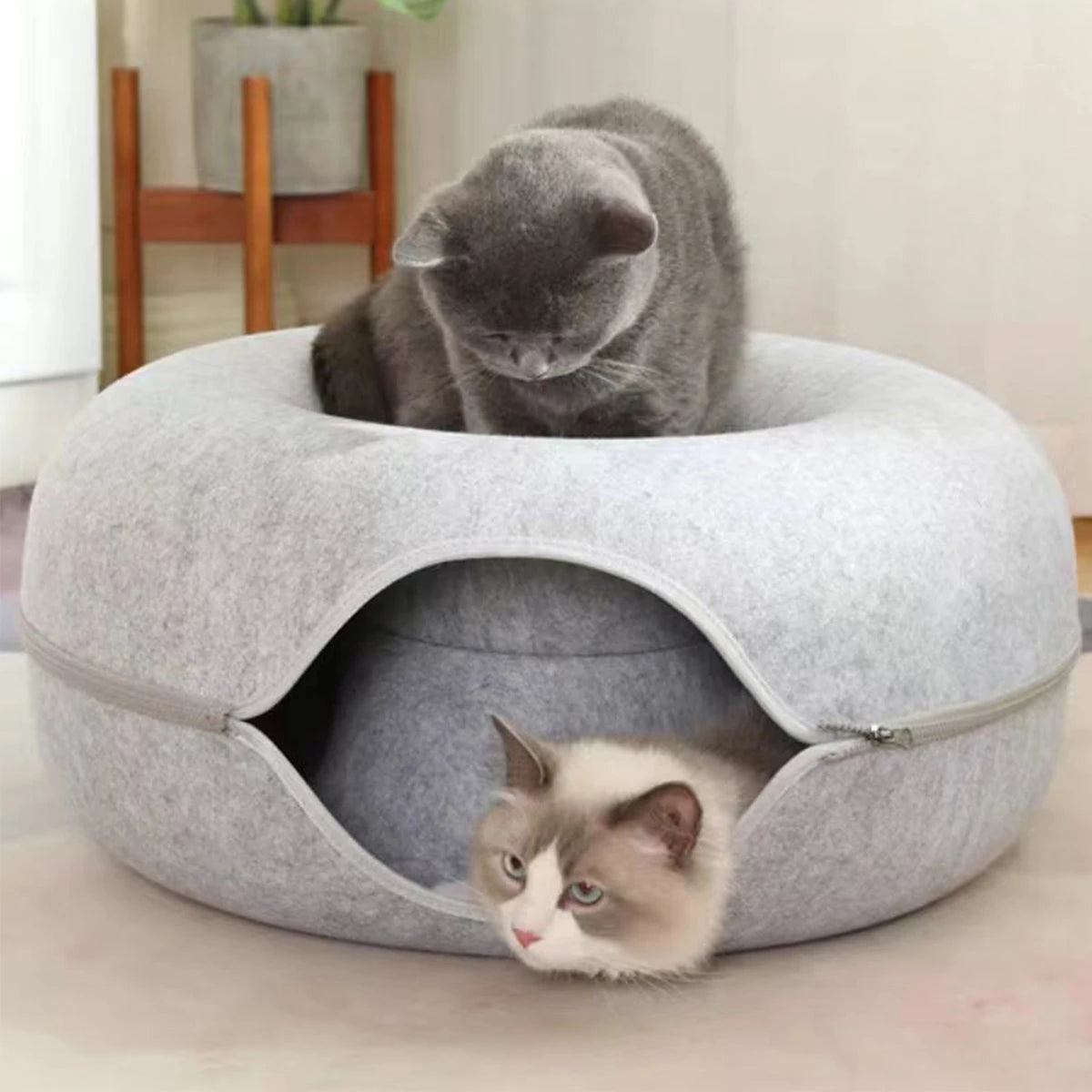 Donut Cat Bed & Interactive Felt Tunnel Toy | Indoor Kitty Co