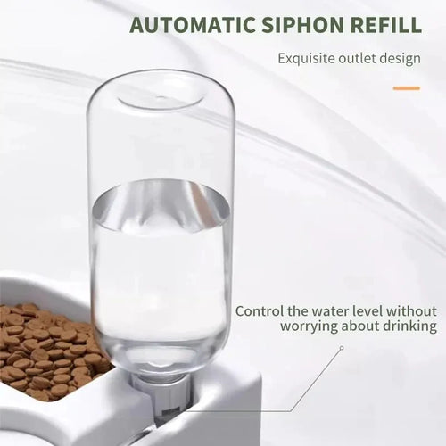 Automatic Dual Food & Water Pet Bowl