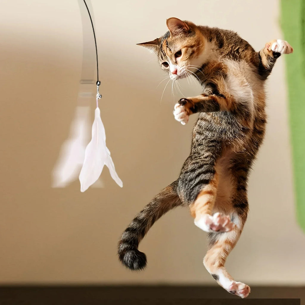 Bell & Feather Wand Cat Teaser with Suction Cup