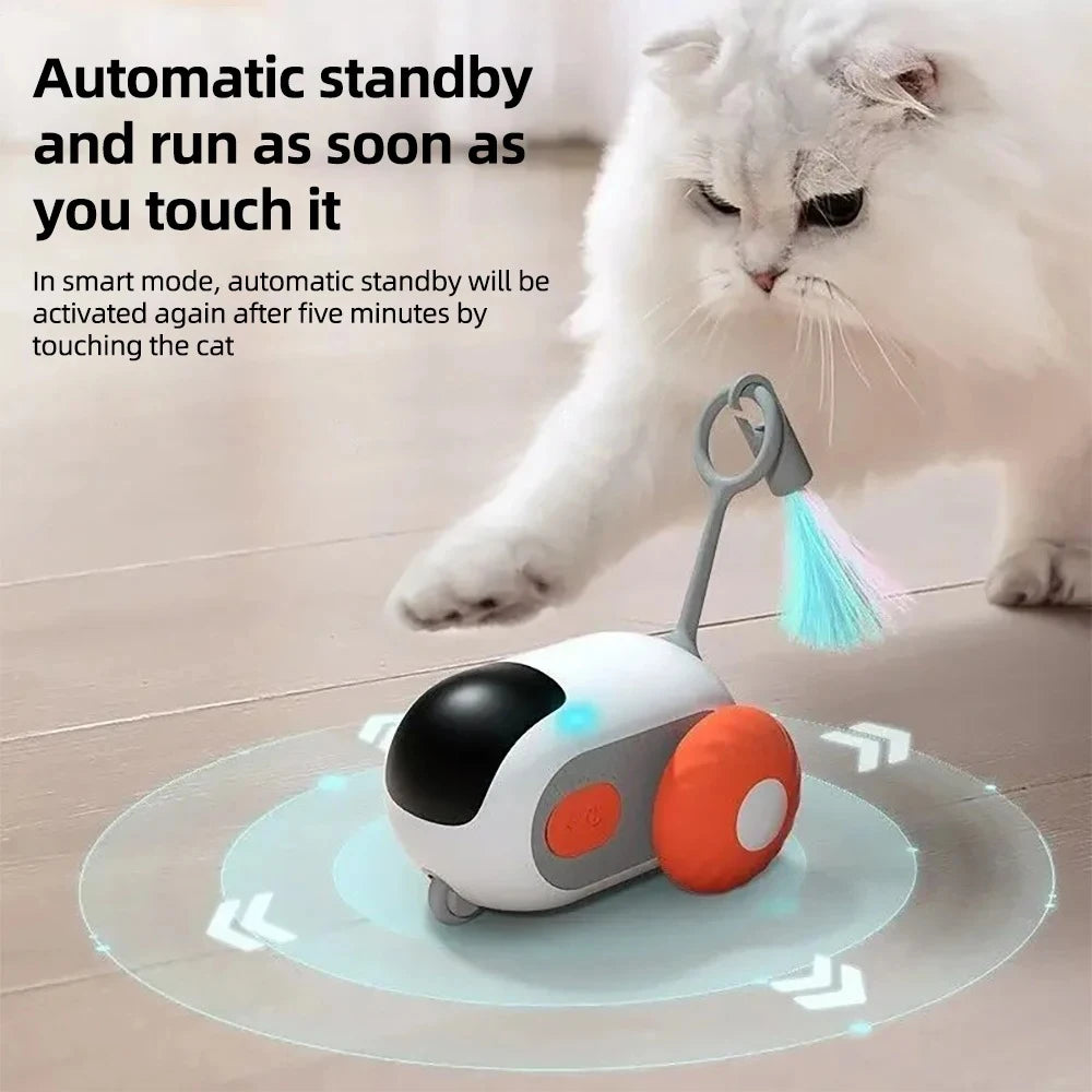 Remote Control Cat Toy Car | Indoor Kitty Co