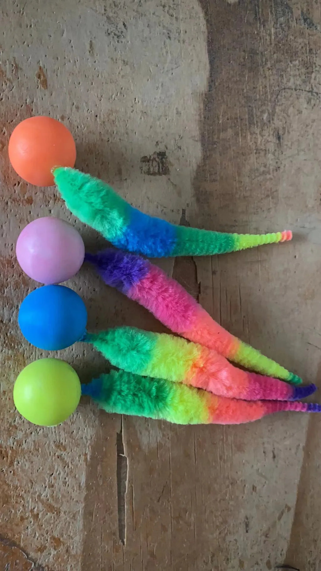 Colourful Bouncing Ball & Caterpillar Toy Set | Indoor Kitty Co
