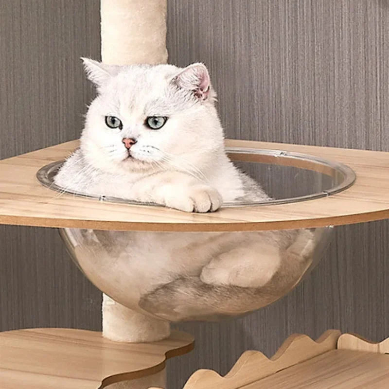 Large Wooden Cat Tree with Space Pod | Indoor Kitty Co