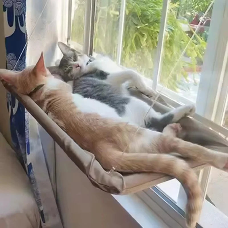 Ultra Soft Cat Window Hammock — Securely Mounted Cat Perch | Indoor Kitty Co