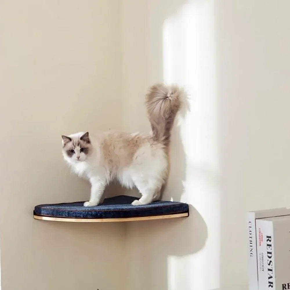 Wall Mounted Cat Tree with Hammock & Climbing Shelves | Indoor Kitty Co
