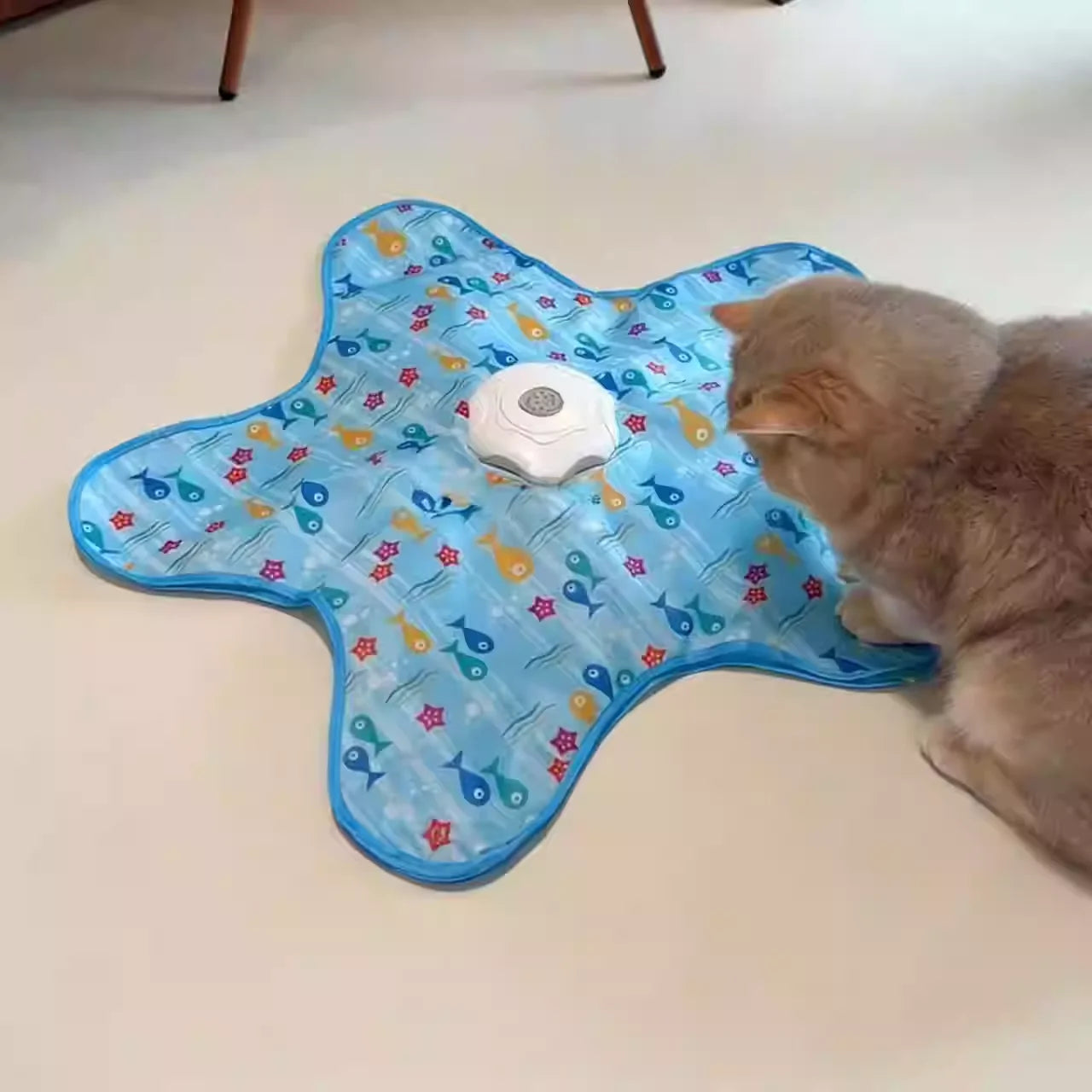 Automatic Electric Cat Turntable Toy | Indoor Kitty Co
