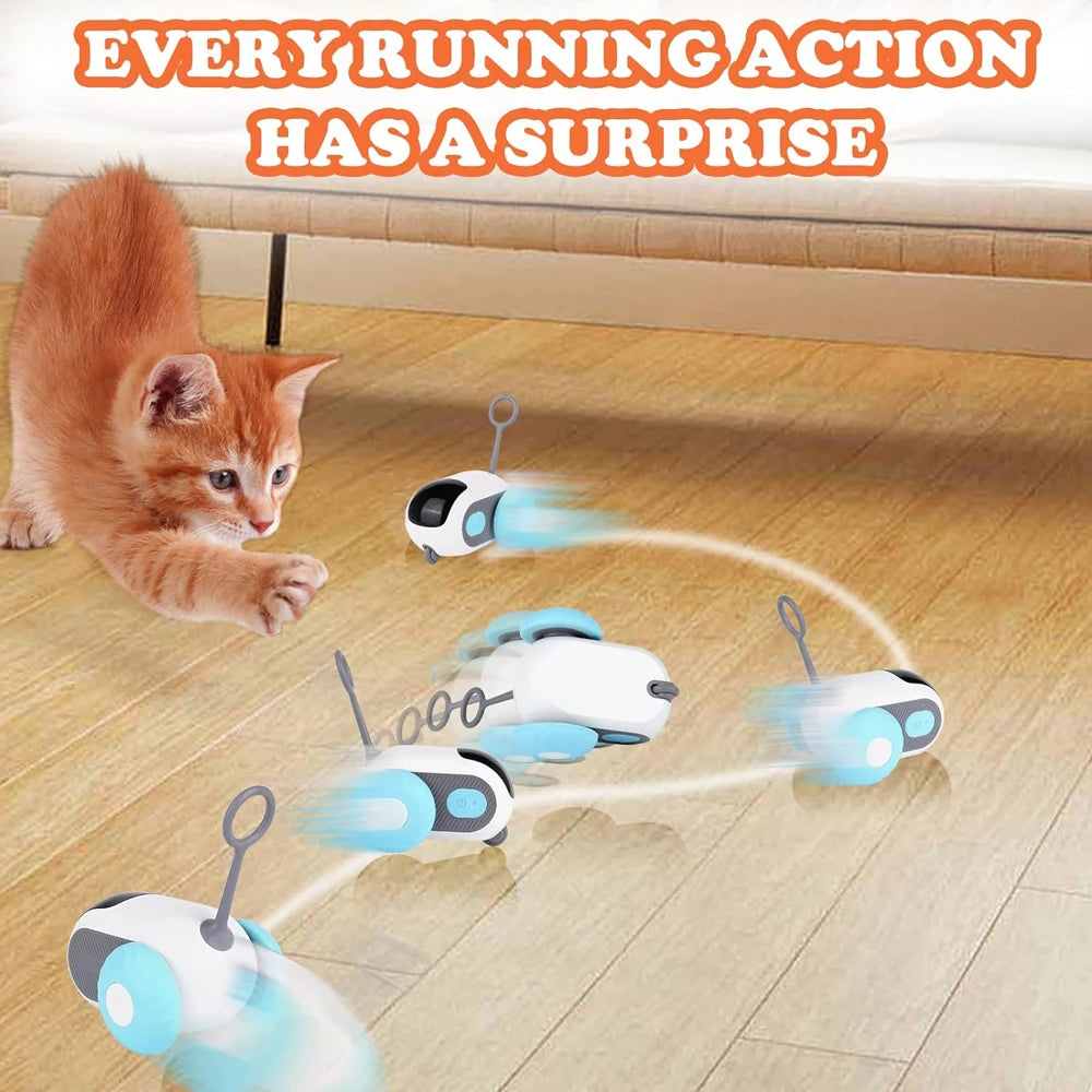 Remote Control Cat Toy Car | Indoor Kitty Co
