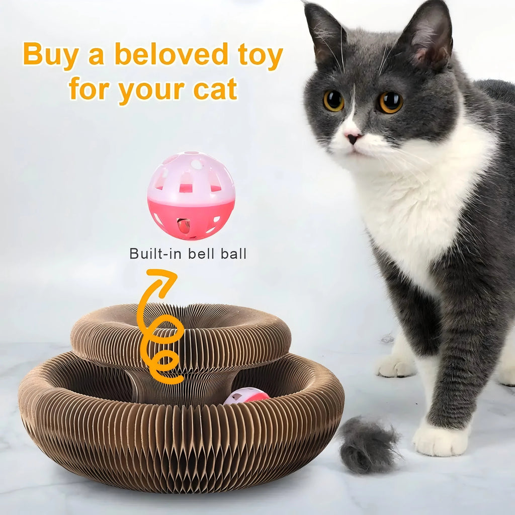 Round Corrugated Scratch & Play Cat Toy | Indoor Kitty Co
