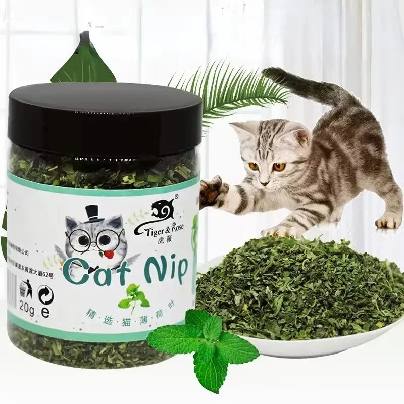 Organic Catnip Toy | Indoor Kitty Co