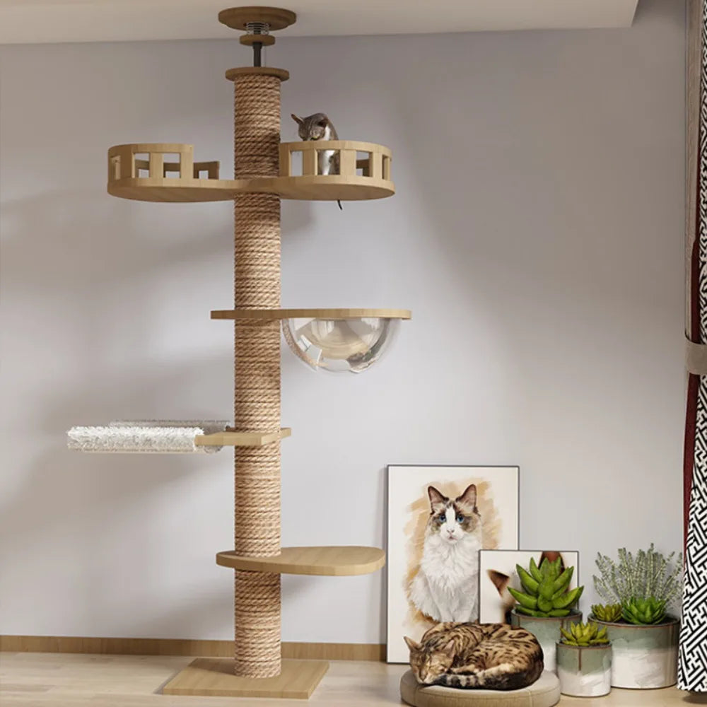 Adjustable Floor to Ceiling Cat Tree with Condo & Perches | Indoor Kitty Co