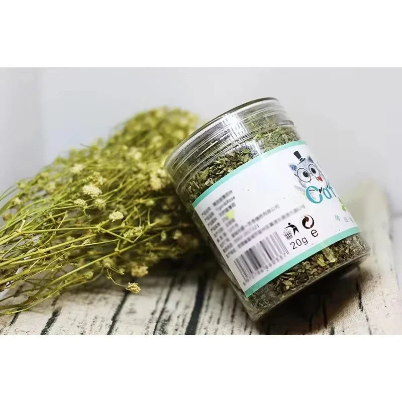 Organic Catnip Toy | Indoor Kitty Co