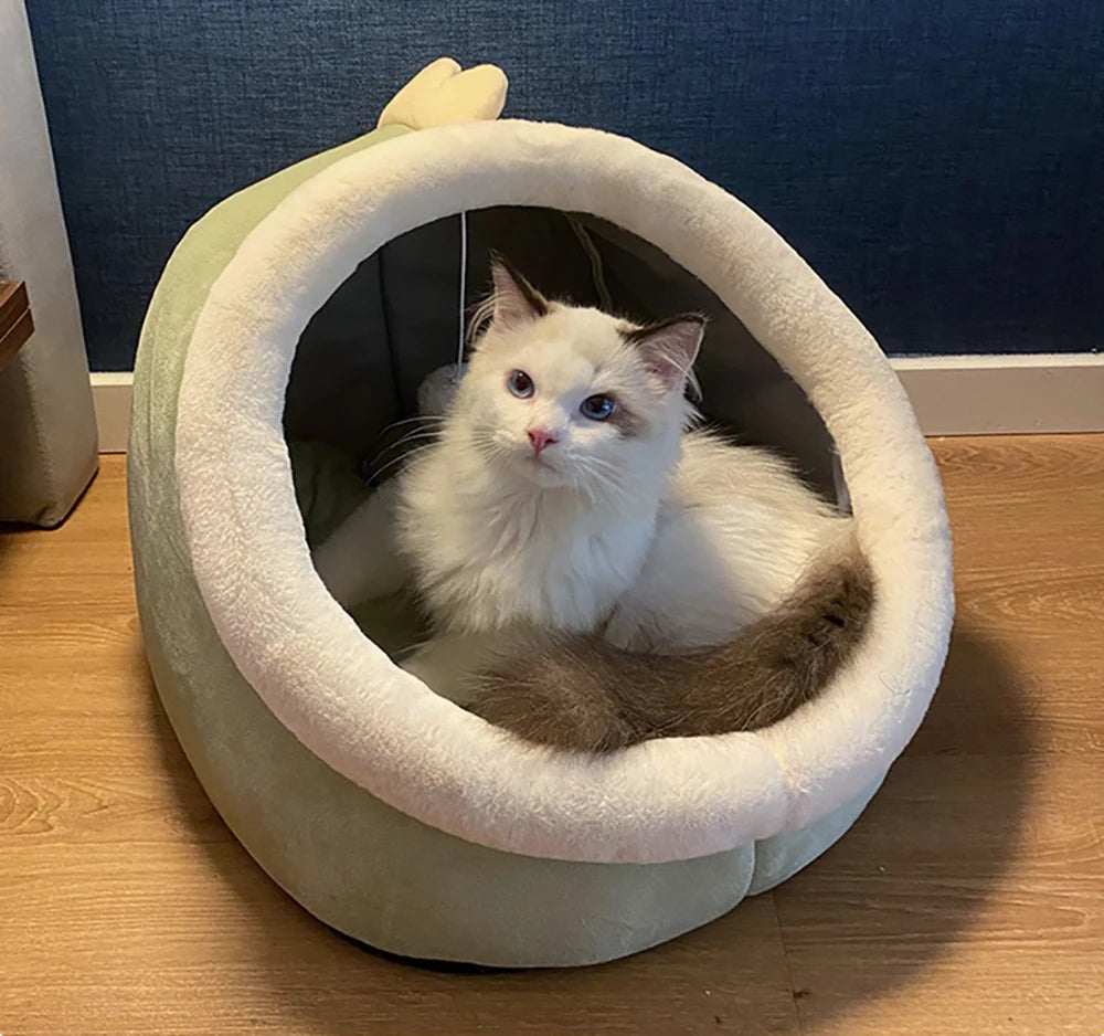 Cosy Cat Bed with Hanging Toy | Indoor Kitty Co