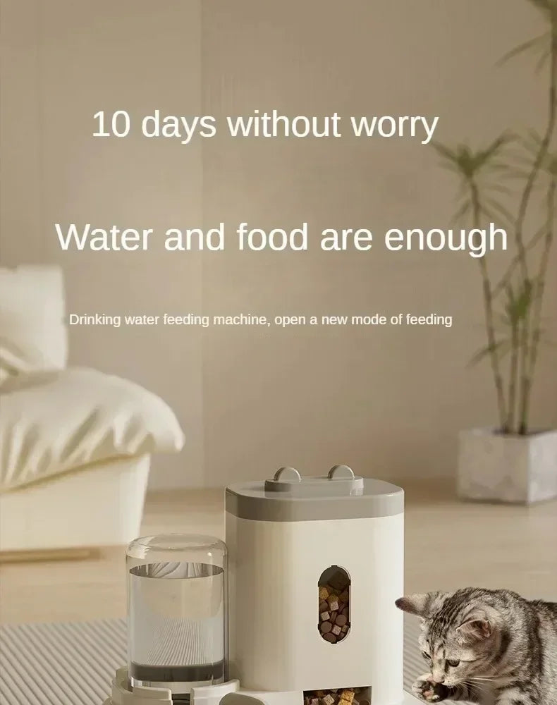 Automatic Cat Feeder & Water Fountain with Large Capacity Dispenser | Indoor Kitty Co