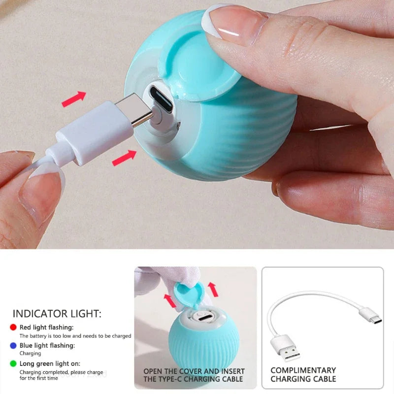 Smart Electronic Rolling Ball Cat Toy | Indoor Kitty Co