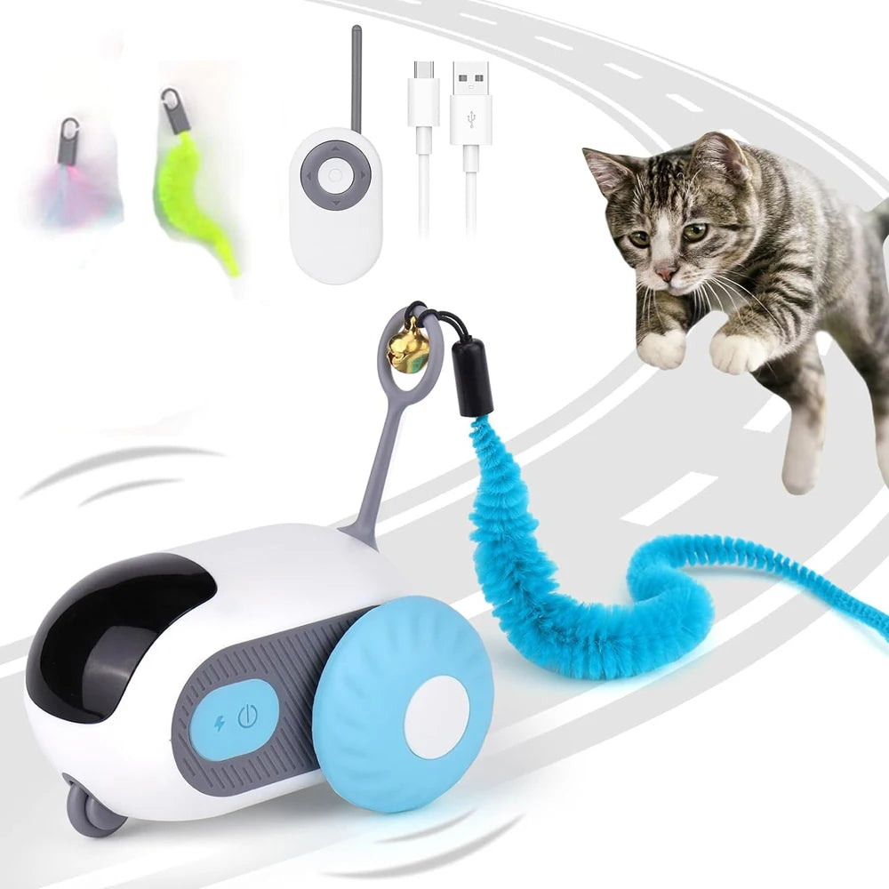 Remote Control Cat Toy Car | Indoor Kitty Co