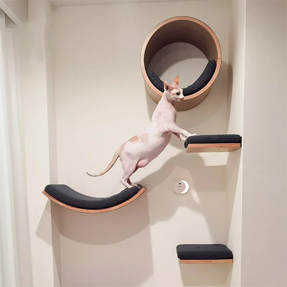 Wall Mounted Cat Tree with Hammock & Climbing Shelves | Indoor Kitty Co